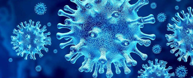 Corona virus