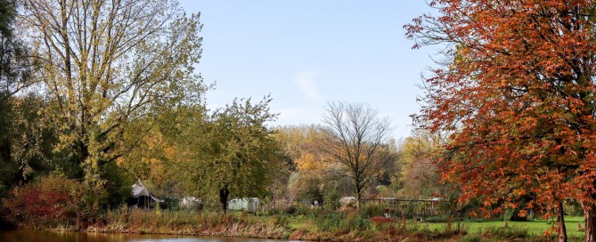 Blauwvingerwandeltocht, Zwolle