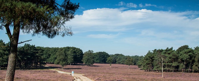 Bos- en Heidetocht