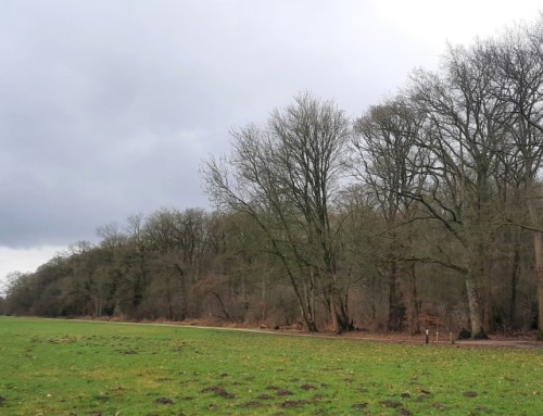 Wandeltocht Zwolle