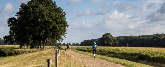 Dalfsen