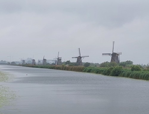 Wandelen in Kinderdijk