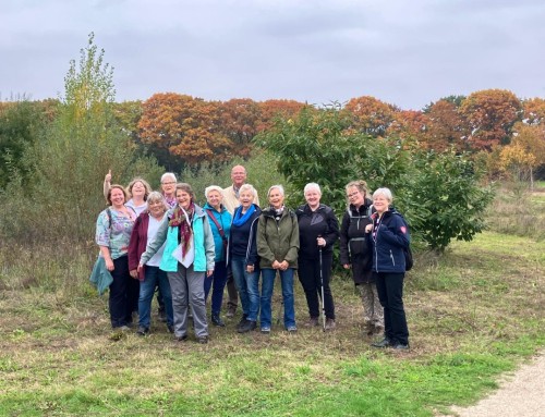 Pater Vos-tocht in Schaijk – een grijze dag vol kleur!