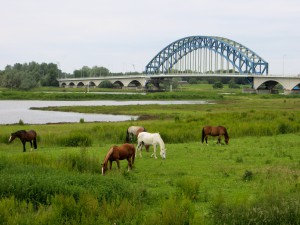 Zwolle 12 juni (101 van 15)